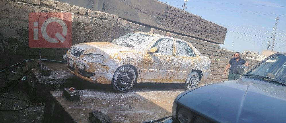 شيري كوين